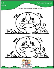 okul öncesi İki Resim Arasındaki Farkı Bul